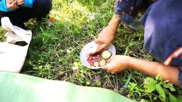 Göra Traditionella Indonesiska Chilisås Mjuknat Trädgården — Stockvideo
