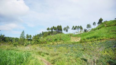 Güzel doğal manzara dağları, tepelik doğa manzarası, yeşil orman ve yeşil çimenli yamaçlar, bulutlu mavi gökyüzünün altında gündüz vakti