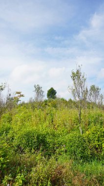 Güzel doğal manzara dağları, tepelik doğa manzarası, yeşil orman ve yeşil çimenli yamaçlar, bulutlu mavi gökyüzünün altında gündüz vakti