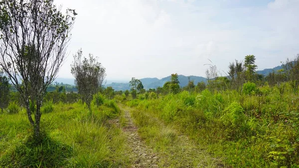 Güzel doğal manzara dağları, tepelik doğa manzarası, yeşil orman ve yeşil çimenli yamaçlar, bulutlu mavi gökyüzünün altında gündüz vakti