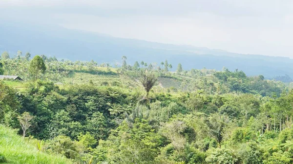 Güzel doğal manzara dağları, tepelik doğa manzarası, yeşil orman ve yeşil çimenli yamaçlar, bulutlu mavi gökyüzünün altında gündüz vakti