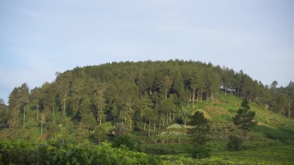 Όμορφο Φυσικό Τοπίο Βουνά Λοφώδες Πανόραμα Φύση Πράσινο Δάσος Και — Αρχείο Βίντεο