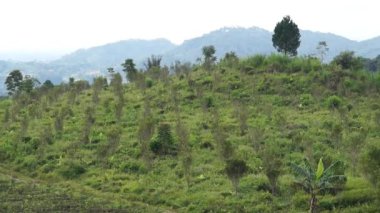 Güzel doğal manzara dağları, tepelik doğa manzarası, yeşil orman ve yeşil çimenli yamaçlar, bulutlu mavi gökyüzünün altında gündüz vakti