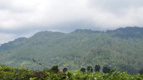 Hermoso Paisaje Natural Montañas Naturaleza Montañosa Panorama Con Bosque Verde — Vídeos de Stock