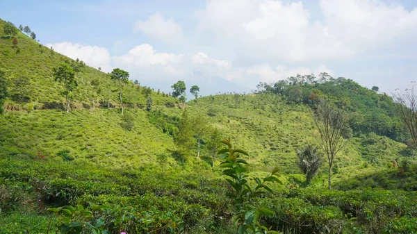 Güzel doğal manzara dağları, tepelik doğa manzarası, yeşil orman ve yeşil çimenli yamaçlar, bulutlu mavi gökyüzünün altında gündüz vakti