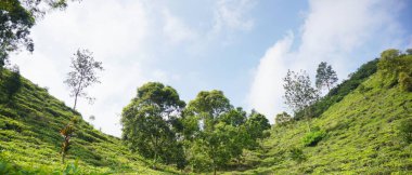 Güzel doğal manzara dağları, tepelik doğa manzarası, yeşil orman ve yeşil çimenli yamaçlar, bulutlu mavi gökyüzünün altında gündüz vakti