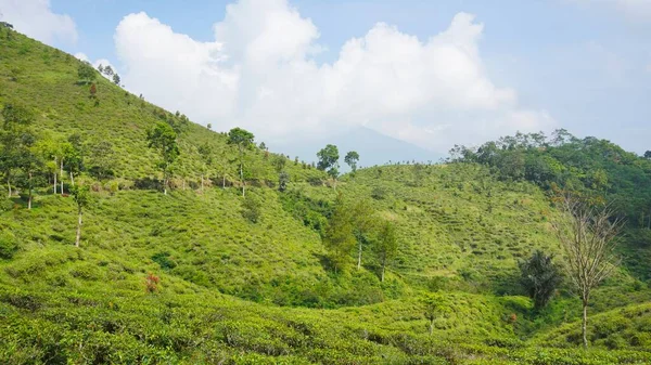 Güzel doğal manzara dağları, tepelik doğa manzarası, yeşil orman ve yeşil çimenli yamaçlar, bulutlu mavi gökyüzünün altında gündüz vakti