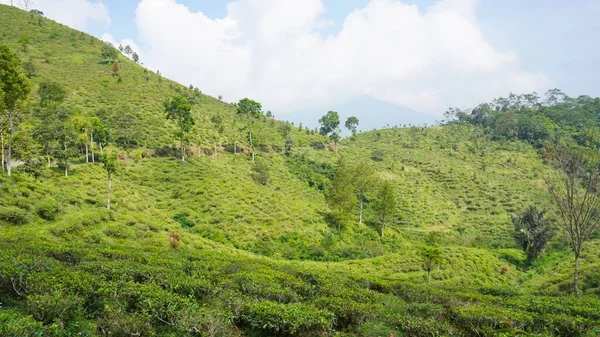 Güzel doğal manzara dağları, tepelik doğa manzarası, yeşil orman ve yeşil çimenli yamaçlar, bulutlu mavi gökyüzünün altında gündüz vakti