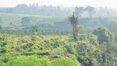 Güzel doğal manzara dağları, tepelik doğa manzarası, yeşil orman ve yeşil çimenli yamaçlar, bulutlu mavi gökyüzünün altında gündüz vakti