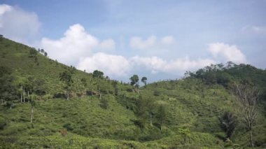 4k güzel doğal manzara dağları, tepelik doğa manzarası, yeşil orman ve yeşil çimenli yamaçlar, bulutlu mavi gökyüzünün altında gündüz vakti