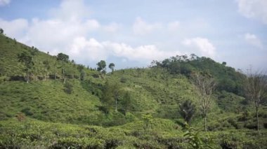 4k güzel doğal manzara dağları, tepelik doğa manzarası, yeşil orman ve yeşil çimenli yamaçlar, bulutlu mavi gökyüzünün altında gündüz vakti
