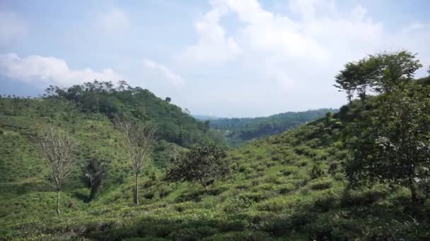 Hermoso Paisaje Natural Montañas Naturaleza Montañosa Panorama Con Bosque Verde — Vídeos de Stock