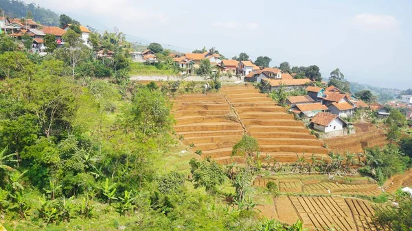 beautiful natural landscape mountains hilly nature panorama, with green forest big trees and green grassy slopes under cloudy blue sky in daytime