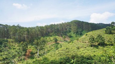 beautiful natural landscape mountains hilly nature panorama, with forest of tall green trees and green slopes under cloudy blue sky in daytime