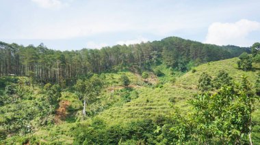 beautiful natural landscape mountains hilly nature panorama, with forest of tall green trees and green slopes under cloudy blue sky in daytime