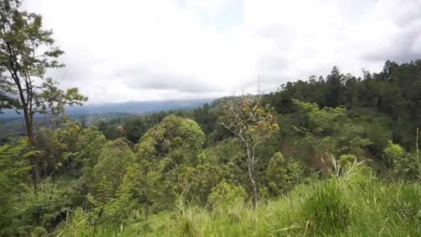Beautiful Mountain Natural Scenery Hilly Nature Panorama Forest Tall Green — Stock video