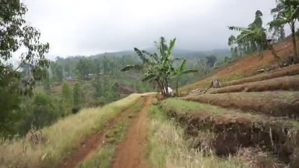 Cestování Přírodní Atmosférou Plantážních Kopcích Svazích Hory Cikuray — Stock video