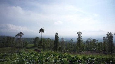 Güzel dağ doğal manzarası panoramik tepeler doğa ve uzun yeşil ağaçlardan oluşan orman ve gün boyunca bulutlu mavi gökyüzünün altında yeşil tarlalar.