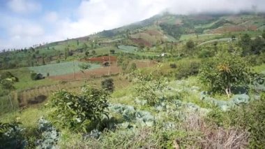 Güzel dağ doğal manzarası panoramik tepeler doğa ve uzun yeşil ağaçlardan oluşan orman ve gün boyunca bulutlu mavi gökyüzünün altında yeşil tarlalar.
