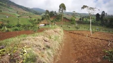 Güzel dağ doğal manzarası panoramik tepeler doğa ve uzun yeşil ağaçlardan oluşan orman ve gün boyunca bulutlu mavi gökyüzünün altında yeşil tarlalar.