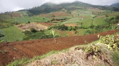 Güzel dağ doğal manzarası panoramik tepeler doğa ve uzun yeşil ağaçlardan oluşan orman ve gün boyunca bulutlu mavi gökyüzünün altında yeşil tarlalar.