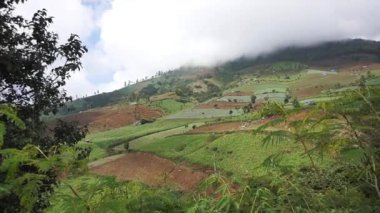 Güzel dağ doğal manzarası panoramik tepeler doğa ve uzun yeşil ağaçlardan oluşan orman ve gün boyunca bulutlu mavi gökyüzünün altında yeşil tarlalar.