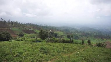 Güzel dağ doğal manzarası panoramik tepeler doğa ve uzun yeşil ağaçlardan oluşan orman ve gün boyunca bulutlu mavi gökyüzünün altında yeşil tarlalar.