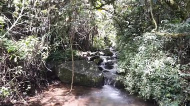 Güzel doğal manzara dağları tepe doğa manzarası, yüksek yeşil ağaçlar ve yeşil yamaçlar ile bulutlu mavi gökyüzünün altında gündüz vakti