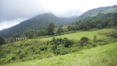 Güzel dağ doğal manzarası panoramik tepeler doğa ve uzun yeşil ağaçlardan oluşan orman ve gün boyunca bulutlu mavi gökyüzünün altında yeşil tarlalar.