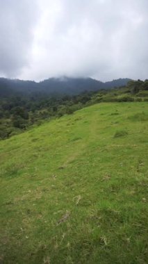 Güzel dikey görüntü portresi doğal manzara dağları doğal panorama tepeleri ve yüksek yeşil ağaçlardan oluşan orman ve bulutlu mavi gökyüzünün altında yeşil tarlalar.