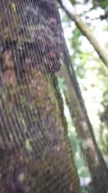 Güzel dikey görüntü portresi doğal manzara dağları doğal panorama tepeleri ve yüksek yeşil ağaçlardan oluşan orman ve bulutlu mavi gökyüzünün altında yeşil tarlalar.