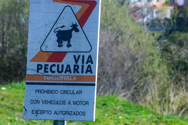 Quijorna Madrid 2017 Señal Pista Ganadera Protegida España Pecuaria Ganadería — Foto de Stock