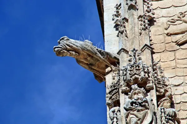 Горгулья Готического Камня Стене Церкви Санта Мария Аранда Дуэро Бургос — стоковое фото
