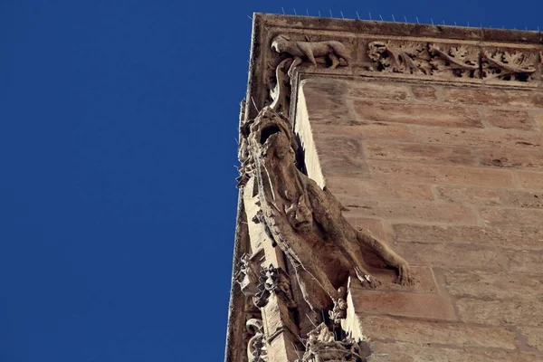 Горгулья Готического Камня Стене Церкви Санта Мария Аранда Дуэро Бургос — стоковое фото