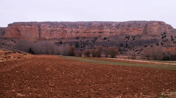 Canyon River Riaza Plowed Soil Lands Segovia Spain Limestone Cliffs — Stock Photo, Image