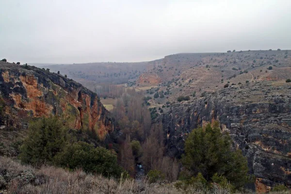 Canyon River Riaza Lands Segovia Spain Natural Vegetation Poplars Next — Stock Photo, Image