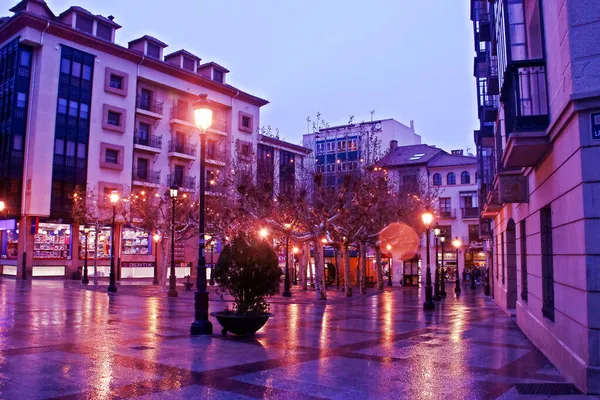 Soria Spain 2017 在一个下雨天的下午 圣埃斯特班广场 索里亚首府这个被雨水浸透的小广场上的树木和灯柱 — 图库照片