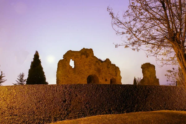 スペイン に照らされたソリア城の遺跡 壁の遺跡の前に装飾的な茂み — ストック写真