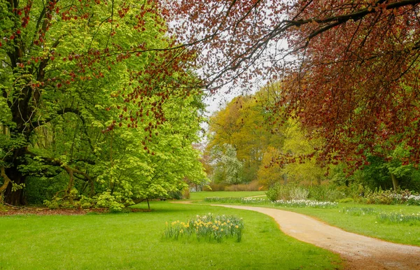 Schöner Spazierweg Park Des Schlosses Gaasbeek Lennik Belgien Ein Ort — Stockfoto