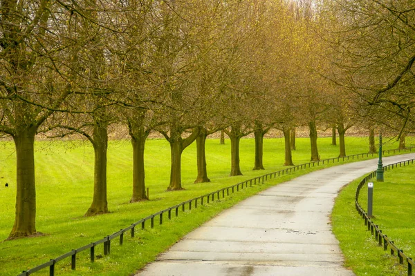 Beau Sentier Pour Promener Parc Château Gaasbeek Lennik Belgique Lieu — Photo