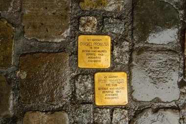 Brüksel, Belçika; 04 29 2016. Auschwitz imha kampının kurbanları için Brüksel sokaklarında bir plaket. Yağmurlu bir günde ıslak kaldırım.