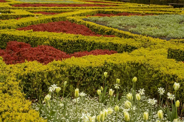 Garden Mont Des Arts Означає Пагорб Або Вершина Мистецтв Міський — стокове фото