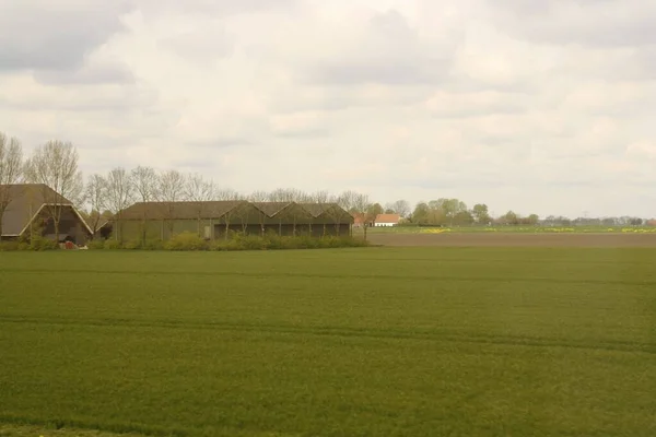 Grödfält Landsbygden Nederländerna Fotografier Tagna Från Tåget Nära Dordrecht — Stockfoto