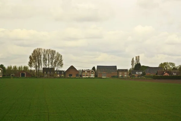 Grödfält Landsbygden Nederländerna Fotografier Tagna Från Tåget Nära Dordrecht — Stockfoto