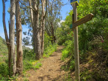 Moya, İspanya; 04 29 2018. 