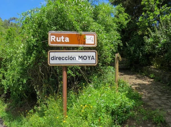 Moya Spain 2018 Los Tilos Moya Trail Nature Reserve Same — 스톡 사진