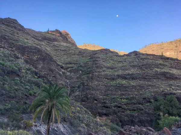 Mountain Crest Ravine Mogan Island Gran Canaria Spain Typical Rugged — Stock Photo, Image