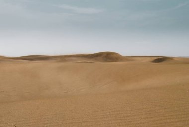 Geniş sahil kumları (çöller gibi), İspanya 'nın Las Palmas de Gran Canaria adasındaki Maspalomas kumsalları. Çöl ve kıyı manzarası rüzgarın kum üzerindeki etkisiyle tasarlandı..