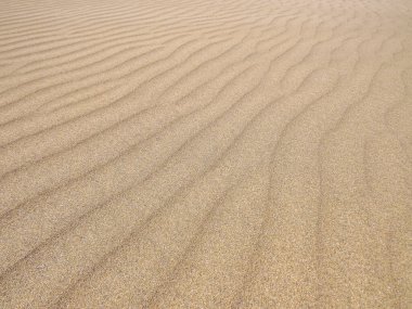 İspanya 'nın Gran Canaria Adası' ndaki Maspaloma plajının beyaz kumları. Çöl ve kıyı manzarası rüzgarın kum üzerindeki etkisiyle tasarlandı..