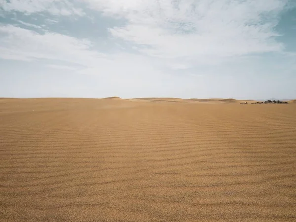 广阔的沿海沙滩 如沙漠 西班牙大加那利群岛拉斯帕尔马斯岛上马斯帕洛马斯海滩的沙丘 受风沙影响而设计的荒漠及海岸景观 — 图库照片